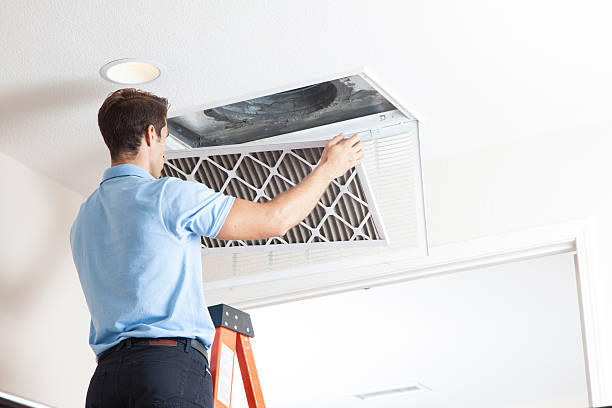 Best Air Filters and Purifiers in Ludowici, GA