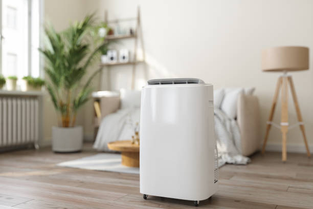 Best VRF (Variable Refrigerant Flow) Systems in Ludowici, GA